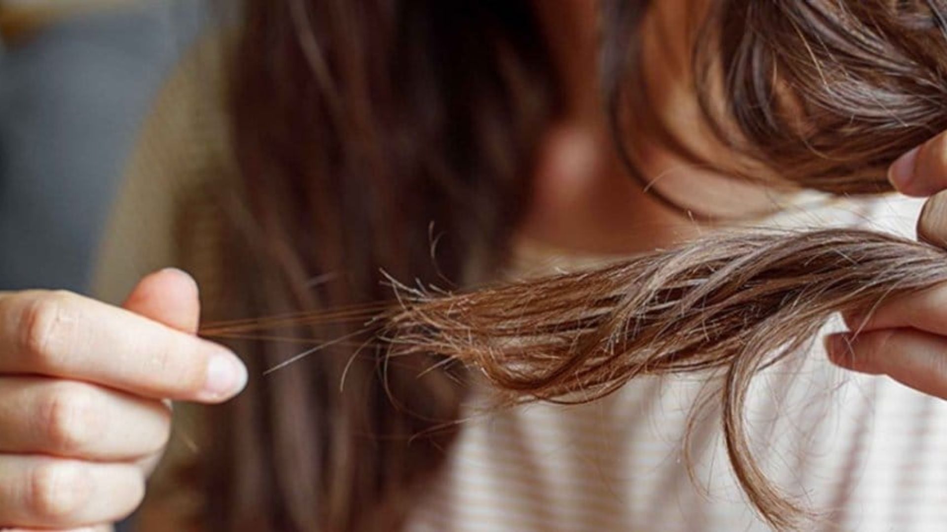 Hairfall Remedies: नहीं रूक रहा हेयरफॉल, तुरंत बंद कर दें ये आदतें..जल्द मिलेगा फायदा