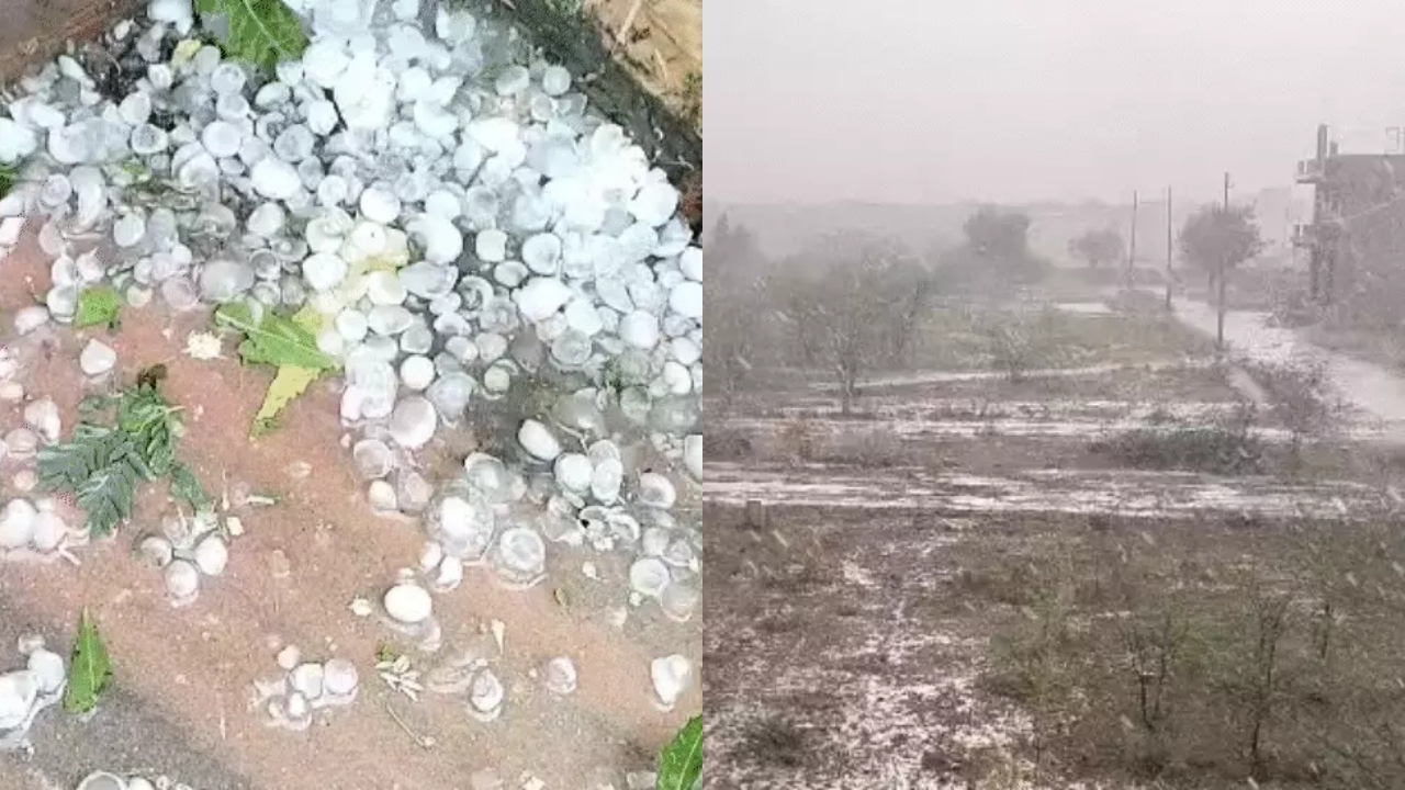 राजस्थान में अचानक बदला मौसम, आंधी-बारिश से लोगों को गर्मी से मिली राहत, जानें अगले तीन दिन कैसा रहेगा मौसम?