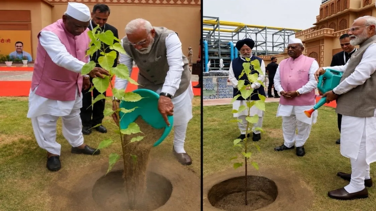 पचपदरा रिफाइनरी में पीएम मोदी के प्लांटेशन पर सियासत गरमाई, पीपल के पौधे को खेजड़ी का बताया, बेनीवाल-कांग्रेस हमलावर
