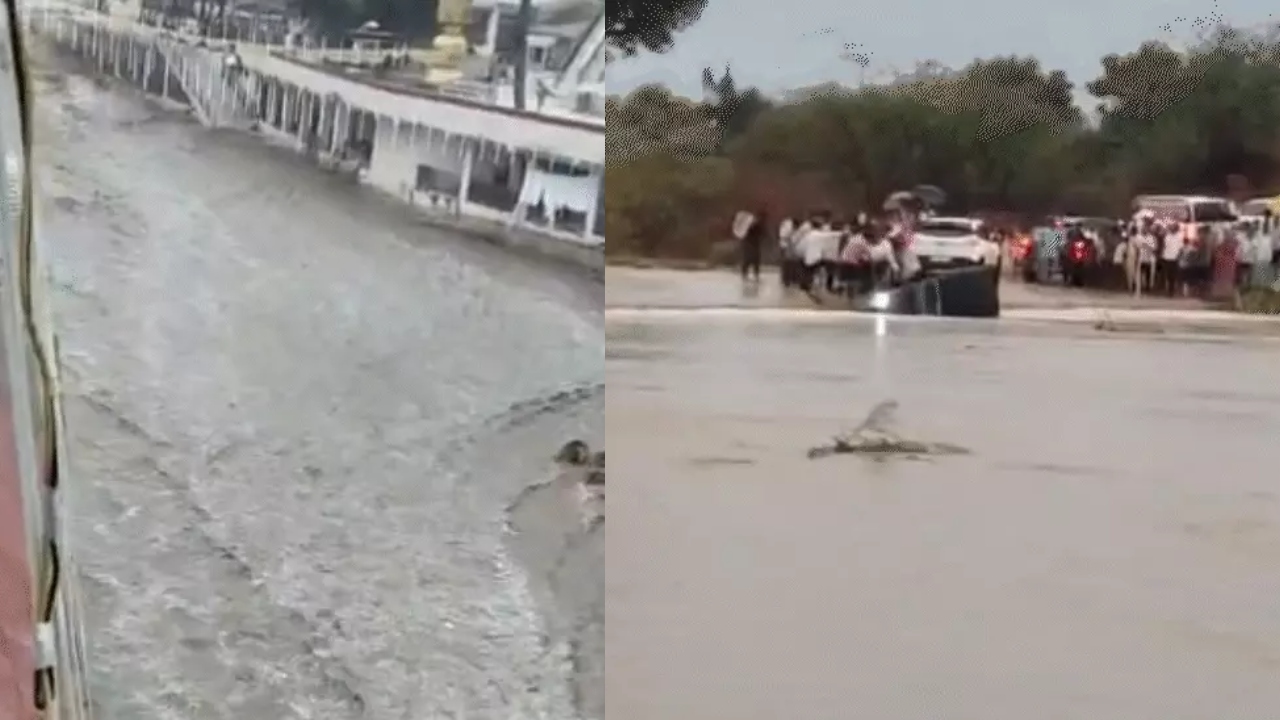 राजस्थान में मानसून मेहरबान, कोटा, उदयपुर और जोधपुर संभाग में ऑरेंज अलर्ट जारी; राजधानी में बारिश को तरसे लोग