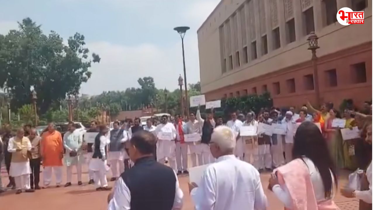 कॉक्रोच जनता पार्टी के प्रदर्शनकारियों और निहंग सिखों में झड़प, संसद के बाहर पक्ष-विपक्ष का आमने-सामने प्रदर्शन