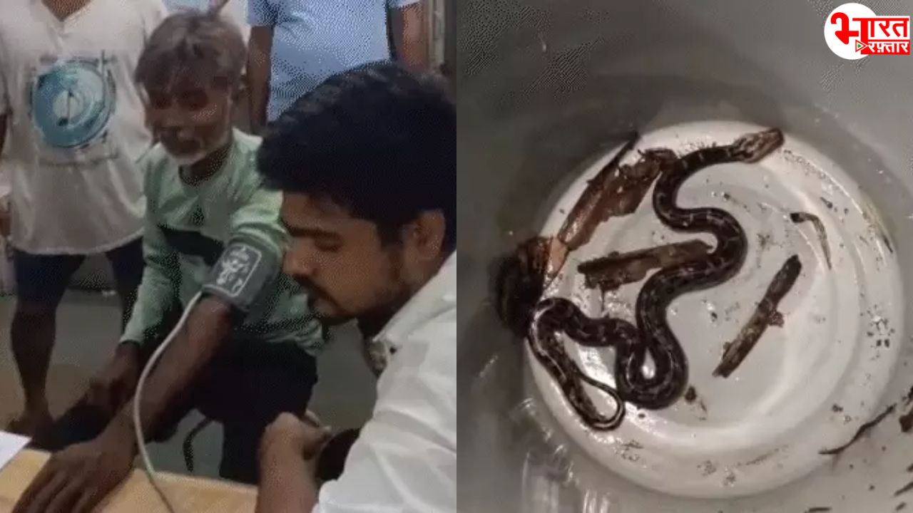 सरस डेयरी प्लांट में घुसा अजगर, कर्मचारी को काटा! दूध की सुरक्षा पर उठे सवाल