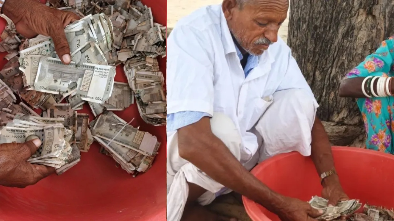 बालोतरा में किसान के लाखों रुपये चट कर गई दीमक, बैंक ने बदलने से किया इनकार, जानें पूरा मामला
